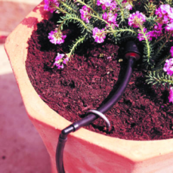 A Carmichael Sprinkler Repair solutions include drip irrigation for container gardens
